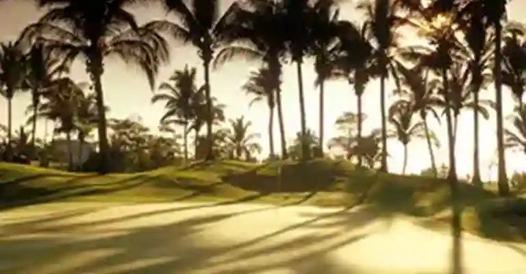 https://sqnescapes.com/The Golf Course Acapulco